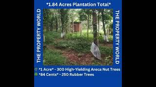1.84 Acres AGRICULTURE LAND(RUBBER & ARECANUT) FOR SALE -