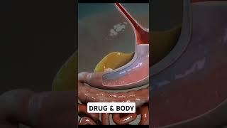 DRUG & BODY #ytshorts #youtubeshorts #viralvideo #medicaleducation