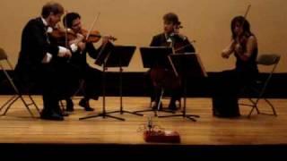 Concierto de maestros 2008, Dvorak string quartet