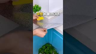 주방에 붙였더니 #시트지 #주방인테리어
