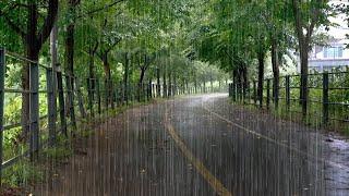 Rain Sounds on a Quiet Road with Heavy Rain - Fall Asleep Quickly, Meditate, Relax