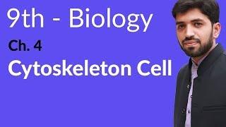 Matric part 1 Biology, Cytoskeleton Biology - Biology Chapter 4 Cell biology - 9th Class