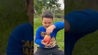 Cậu bé tốt bụng Gỡ bỏ nhãn dán Apple#camping#apple#lifehacks#outdoors