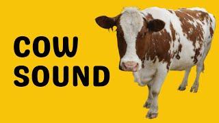 Cow Sound | Moo