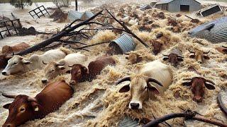 Here's How American Farmers Respond To Natural Disasters To Protect Their Farms