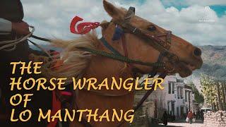 The Horse Wrangler of Lo Manthang |  A Short Documentary