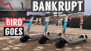 Bird | files for bankrupt | electric scooter