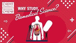 Cardiff University - Biomedical Science Degree Course Animation (English)