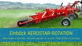 Rotative weeder in cereals | AEROSTAR-ROTATION - EINBÖCK Shortclip #27