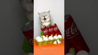 Egg soaked in Coke. Popular life hacks #cuddleclawshow #lifehacks #catchef #cats #funny #foryou