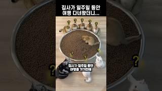 집사가 일주일 동안 여행 다녀왔더니...
