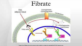 Fibrate