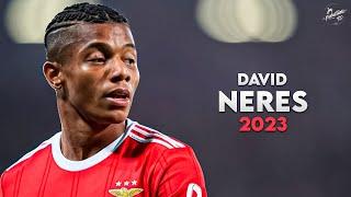 David Neres 2022/23 ► Crazy Skills, Assists & Goals - Benfica | HD