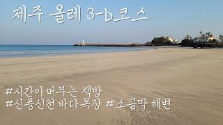 제주 올레 3-b 코스 #시간이 머무는 책방 #신풍신천바다목장 #소금막해변