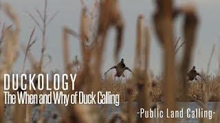 Duckology 1.1 - Public Land: The When and Why of Duck Calling - Fowled Reality