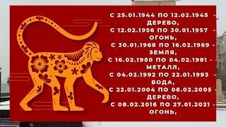 Гороскоп на 2024 год для рожденных в год ОБЕЗЬЯНЫ, 1956, 1968, 1980, 1992, 2004 или 2016 годах.