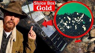 Is This Sluice Box REALLY Better for Finding Gold?