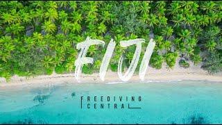 FREEDIVING ADVENTURE TRIP - FIJI