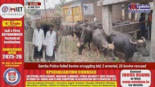 Samba Police foiled bovine smuggling bid; 2 arrested, 20 bovine rescued