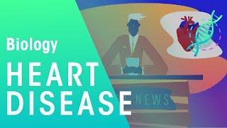 Heart Disease | Health | Biology | FuseSchool