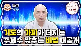 기도의 가피가 터지는 주파수 맞추는 비법 대공개 - 불교덕후 3-1