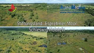 Stiftungsland Esprehmer Moor Schleswig-Holstein