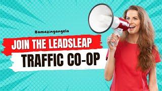 How To Join Leadsleap Traffic CoOp - Get Targeted Traffic To Your Offer