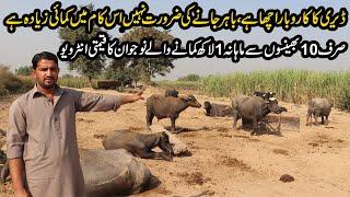 10 Buffaloes 1 Lac Monthly Income | Buffaloes Dairy Farming Tips 2020 By Young Boy