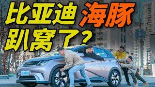 中国电动车有多牛？比亚迪海豚续航暴力测试！！！比亚迪|BYD|海豚|电动车|新能源车|