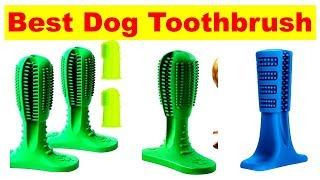 Best Dog Toothbrush | Best Toothbrush For Dogs [2019 Reviews]  |