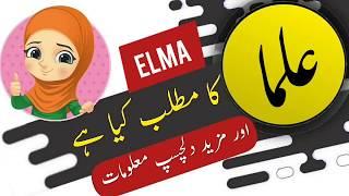 Elma name meaning in urdu and lucky number | Islamic Boy Girl Name | Ali Bhai