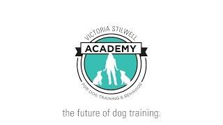 The Victoria Stilwell Academy - The Future of Dog Training