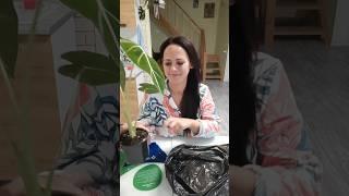 #алоказия #цветоводство #цветовод #домашнийвлог #домашниецветы