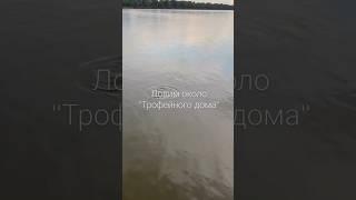Ловим около "Трофейного дома" #fishing #car #рыбалка #carping #улов #рыба #путешествия #природа#карп