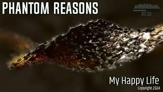 My Happy Life - Phantom Reasons (Sinister Blue)