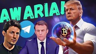 Tonchain awaria! Trump Bitcoin! Altcoiny newsy!