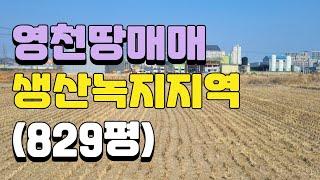 (매물번호 0772) 땅소개 영천시 금노동 위치좋은땅 소개합니다