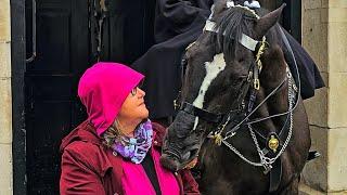 MERRY CHRISTMAS! An Hour with ORMONDE, the World's Most Famous Horse!