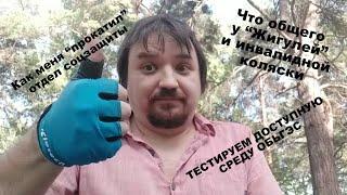 Недоступная доступная среда: ОбьГЭС | Капибары в бегах # 1