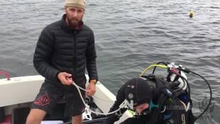 Haie in Ostsee & Nordsee filmen – Hai-Kamera-Test mit Robert Marc Lehmann von Submaris & WWF