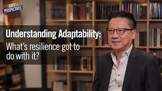 Understanding adaptability: What's resilience got to do with it?