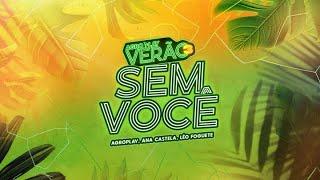 SEM VOCÊ - AgroPlay, @anacastelaoficial, @Leo_foguete   (LYRIC VÍDEO)