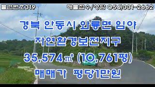 [물건번호319. 안동시 와룡면 도로넓고 위치좋고 방향 좋은 전원생활 휴양지 평당1만원] 임야안으로 따로 임도 개설 차량진입 가능한 임야로 조용한 시골의 한적한 곳에 위치한 임야