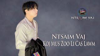 Ntsaim Vaj - Koj Mus Zoo Li Cas Lawm ( Nkauj Tshiab 2024 )