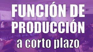 Función de producción a corto plazo