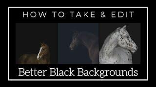 Creating Stunning Portraits with Black Backgrounds: A Horse Photography Tutorial