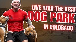 Live Near Colorado's Best Dog Park | Military Living in Colorado Springs