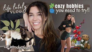 Cozy Hobbies You NEED to Try  + Life Lately Vlog  (Therapy, Tanning & A Messy Cat Intro 🫠)