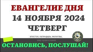 14 НОЯБРЯ ЧЕТВЕРГ ЕВАНГЕЛИЕ АПОСТОЛ ДНЯ ЦЕРКОВНЫЙ КАЛЕНДАРЬ 2024 #мирправославия