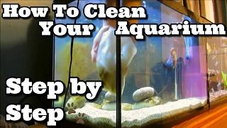 How To Fully Maintenance Your Aquarium: Water Change, Gravel Siphoning And Filter Clean-Out